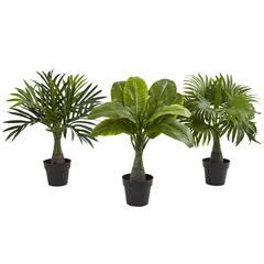 Areca, Fountain & Banana Palm Artificial Trees (Set of 3)