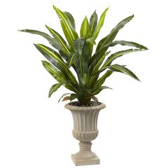 5ft. Dracaena Plant with Urn (Real Touch)