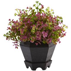 13in. Sedum and Eucalyptus Plant with Planter