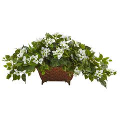 Bougainvillea in Metal Planter, White