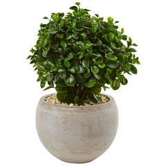2ft. Eucalyptus Silk Plant in Sand Colored Bowl UV Resistant (Indoor/Outdoor)
