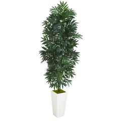 5ft. Bamboo Palm Artificial Plant in White Planter