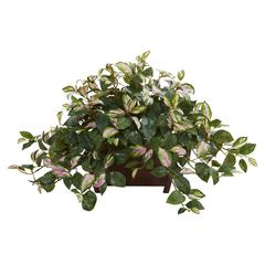 Hoya Artificial Plant in Decorative Planter, Green