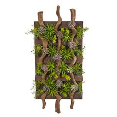 41in. x 19in. Mixed Succulent Artificial Living Wall