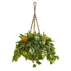 31in. Bromeliad & Pothos Artificial Plant in Hanging Basket