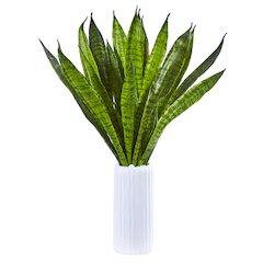 22in. Sansevieria Artificial Plant in White Vase