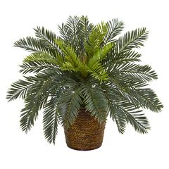 15in. Cycas Artificial Plant in Basket