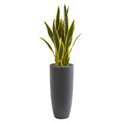 3ft. Sansevieria Artificial Plant in Gray Bullet Planter