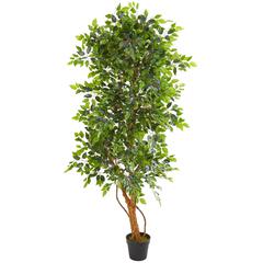 6ft. Elegant Ficus Artificial Tree
