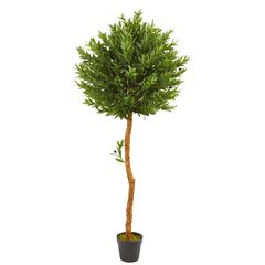 5.5ft. Olive Topiary Artificial Tree UV Resistant (Indoor/Outdoor)