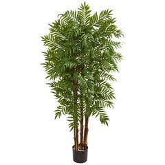 5.5ft. Parlour Artificial Palm Tree