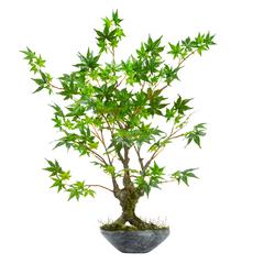30in. Maple Bonsai Artificial Tree in Planter