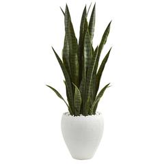 3.5ft. Sansevieria Artificial Plant in White Planter