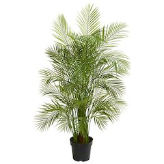 5.5ft. Areca Palm Artificial tree Green