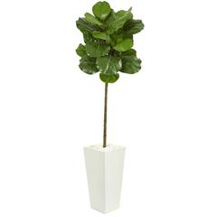 5.5ft. Fiddle Leaf Artificial Tree in White Tower Planter