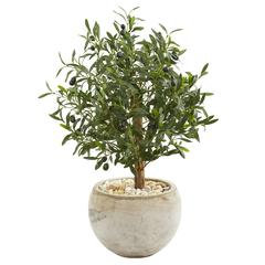 31in. Olive Artificial Tree in Bowl Planter