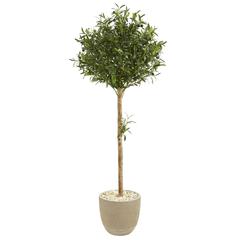 5ft. Olive Topiary Artificial Tree in Sand Stone Planter