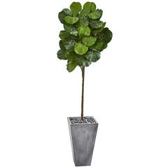 75in. Fiddle Leaf Artificial Tree in Cement Planter