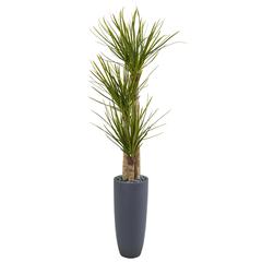 6ft. Yucca Artificial Tree in Bullet Planter