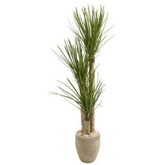 64in. Yucca Artificial Tree in Sand Colored Planter