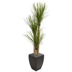 63in. Yucca Artificial Tree in Black Planter