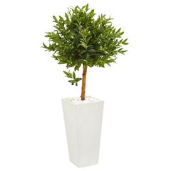 4ft. Olive Topiary Artificial Tree in White Planter UV Resistant (Indoor/Outdoor)