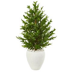3.5ft. Olive Cone Topiary Artificial Tree in White Planter UV Resistant (Indoor/Outdoor)