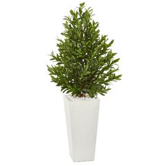 4ft. Olive Cone Topiary Artificial Tree in White Planter UV Resistant (Indoor/Outdoor)