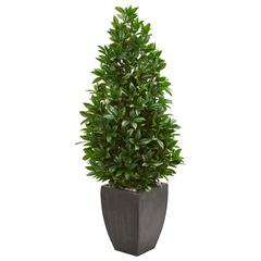 56in. Bay Leaf Cone Topiary Artificial Tree UV Resistant in Black Planter (Indoor/Outdoor)