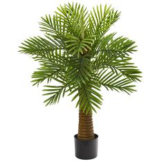 3ft. Robellini Palm Artificial Tree