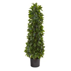 3ft. Sweet Bay Cone Topiary Artificial Tree