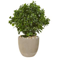 30in. Peperomia Artificial Plant in Sand Stone Planter UV Resistant (Indoor/Outdoor)