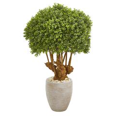 41in. Boxwood Artificial Topiary Tree in Sandstone Planter (Indoor/Outdoor)