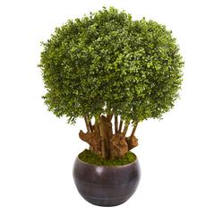 38in. Boxwood Artificial Topiary Tree in Decorative Bowl (Indoor/Outdoor)