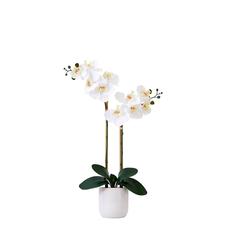 26in. Artificial Double Orchid Phalaenopsis with Decorative Vase (Real Touch)