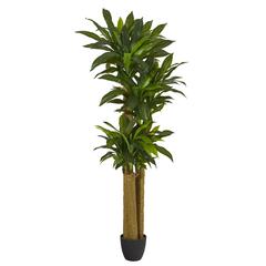 6ft. Corn Stalk Dracaena Artificial Plant (Real Touch)