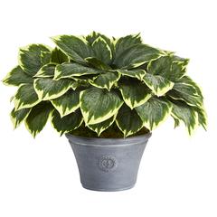 23in. Variegated Hosta Artificial Plant in Gray Planter