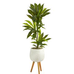 46in. Dracaena Artificial Plant in White Planter with Stand (Real Touch)