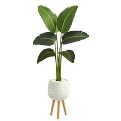 5ft. Travelers Palm Artificial Plant in White Planter with Stand (Real Touch)