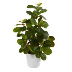 16in. Peperomia Artificial Plant in Decorative Planter
