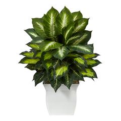 2ft. Golden Dieffenbachia Artificial Plant in White Metal Planter