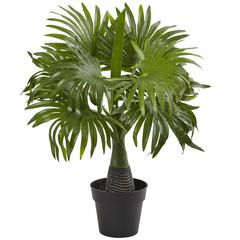 16in. Mini Fountain Palm Artificial Plant