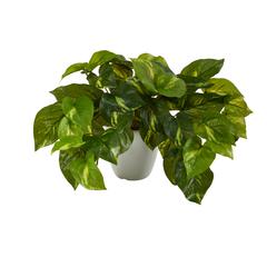 9in. Pothos Artificial Plant in White Planter (Real Touch),Green