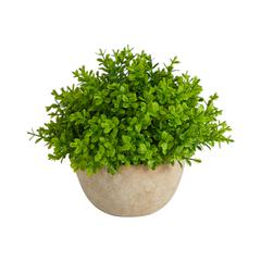 5in. Boxwood Artificial Plant in Decorative Planter