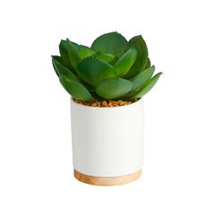6in. Succulent Artificial Plant in White Ceramic Planter