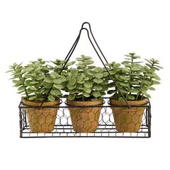 7in. Mini Jade Garden Artificial Plant in Hanging Planter