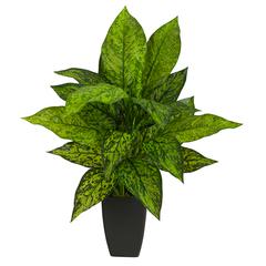 21in. Dieffenbachia Artificial Plant in Black Planter