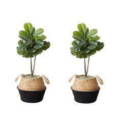 Artificial Fiddle Leaf Fig Tree with Handmade Cotton & Jute Planter- Set of 2