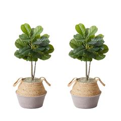 Artificial Fiddle Leaf Fig Tree with Handmade Cotton & Jute Planter - Set of 2