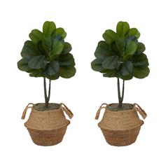 Artificial Fiddle Leaf Fig Tree with Handmade Cotton & Jute Planter - Set of 2